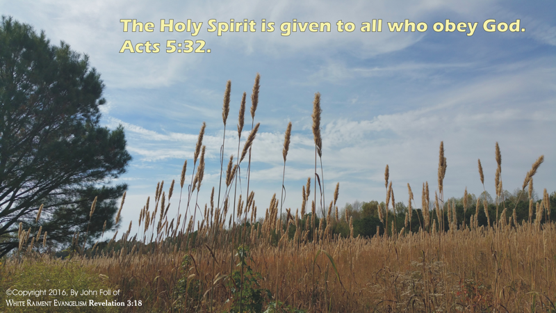 The Holy Spirit is given to all who obey God Nugget Picture